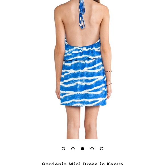 Karina Grimaldi Gardenia dress. Size XS. Great condition. - Picture 2 of 2